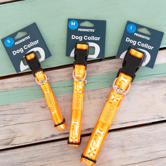 Beach Day Essentials Dog Collar