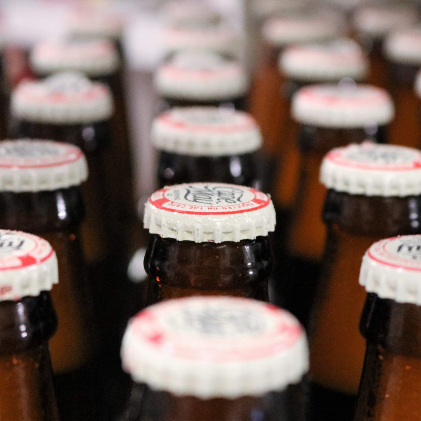 Bottle Caps