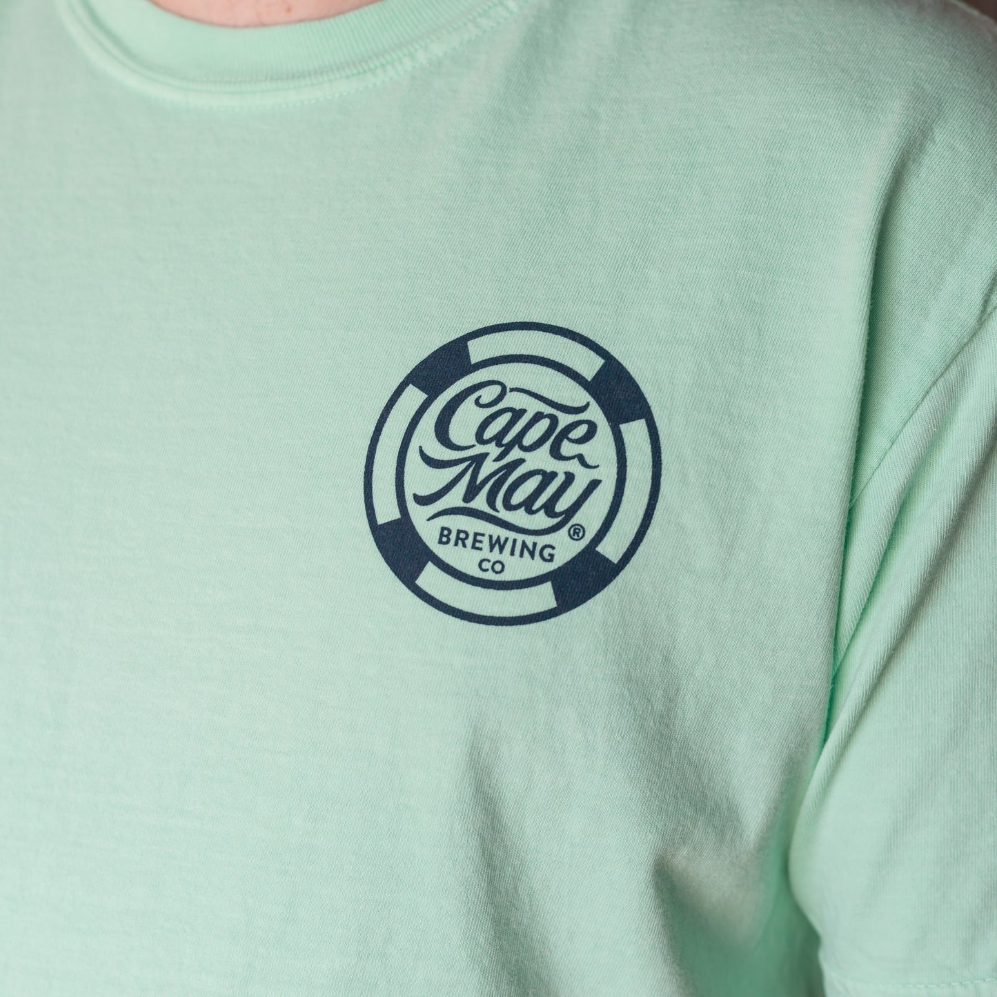 Kickback Seagull Tee