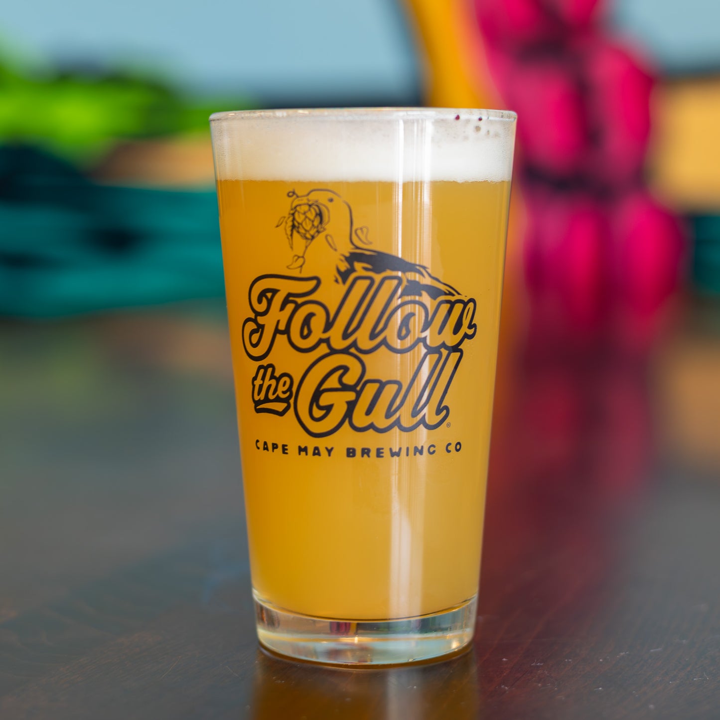 Follow the Gull Pint Glass