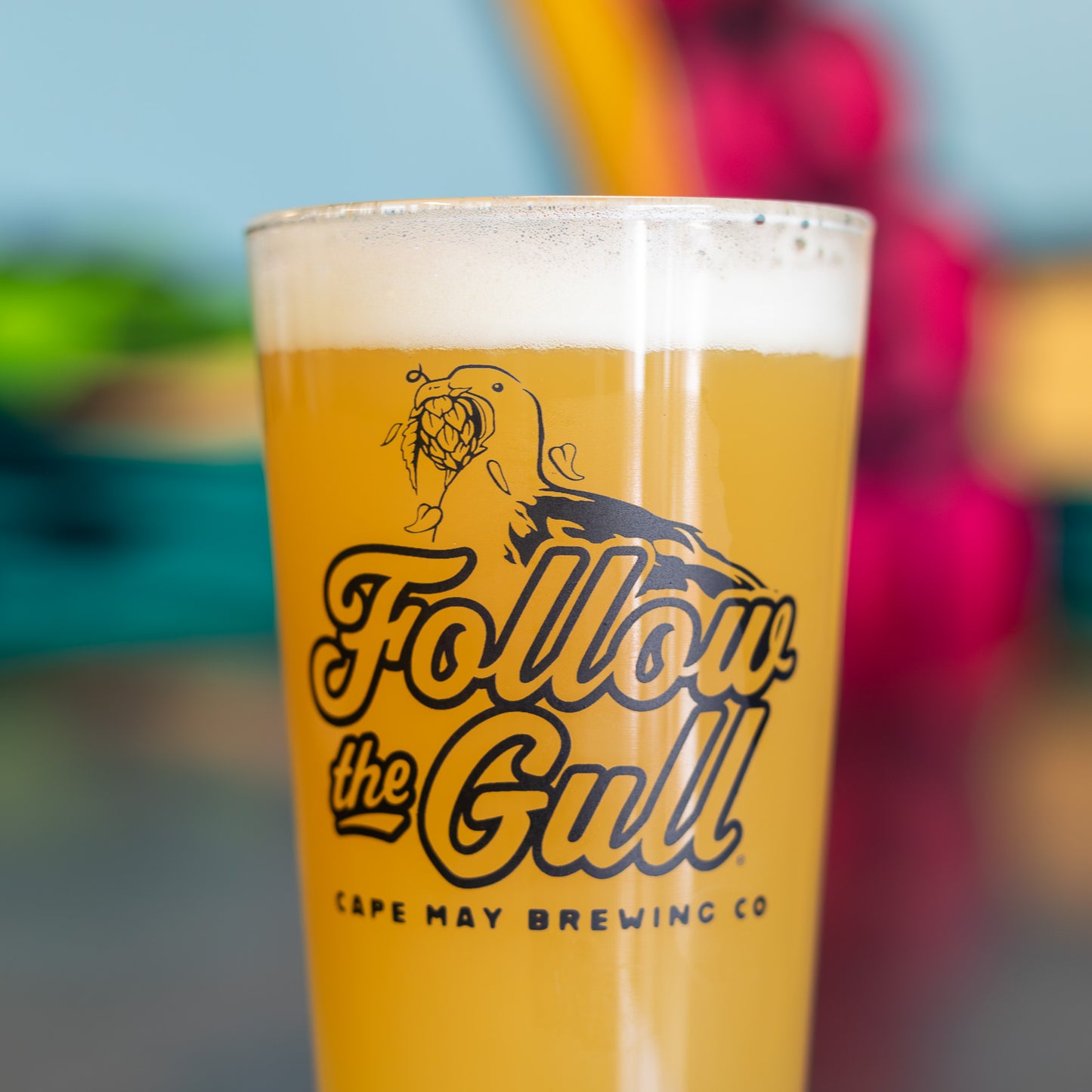 Follow the Gull Pint Glass