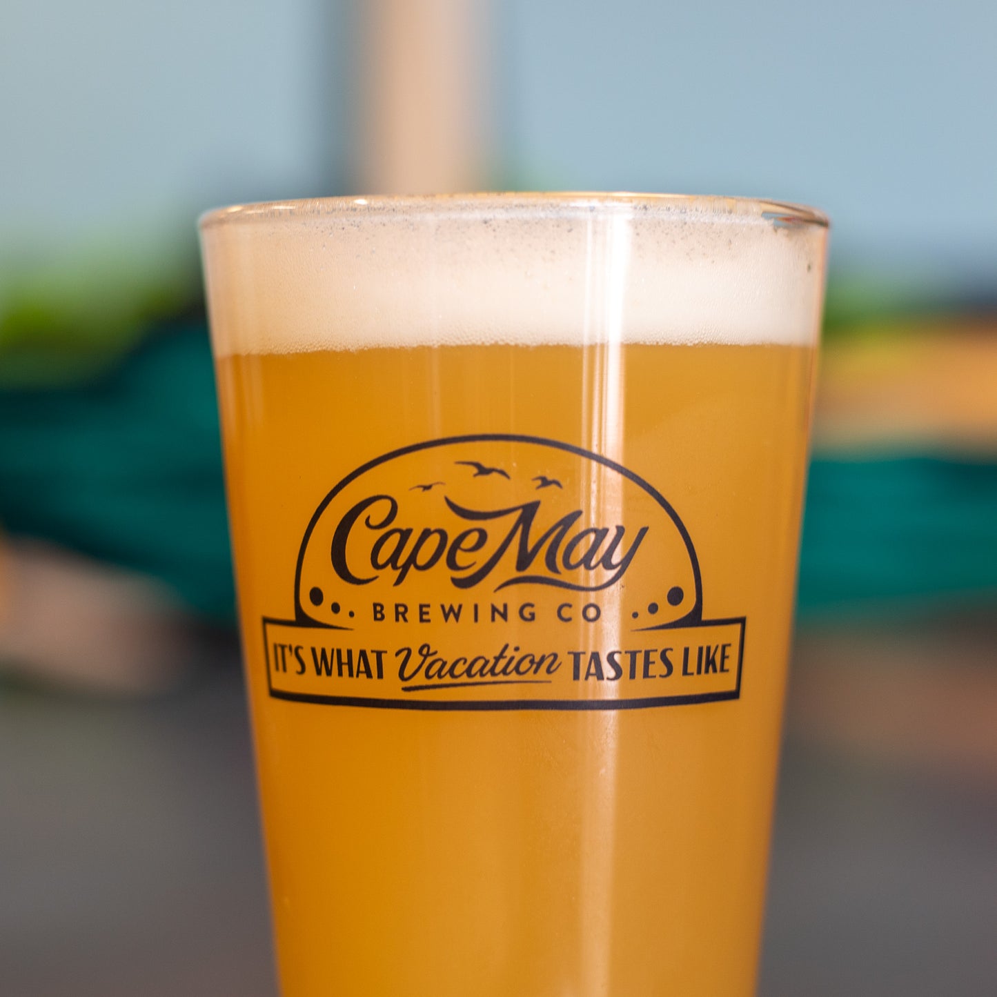 Follow the Gull Pint Glass