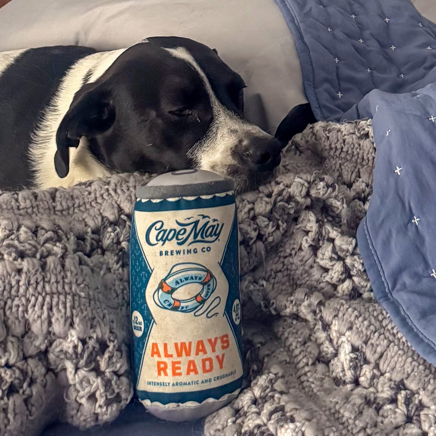 Always Ready Plush Toy