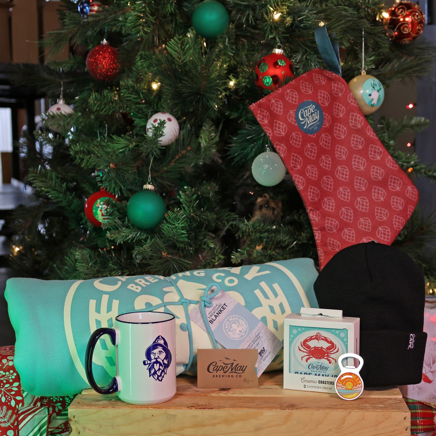 The Ultimate Cozy Cape Bundle