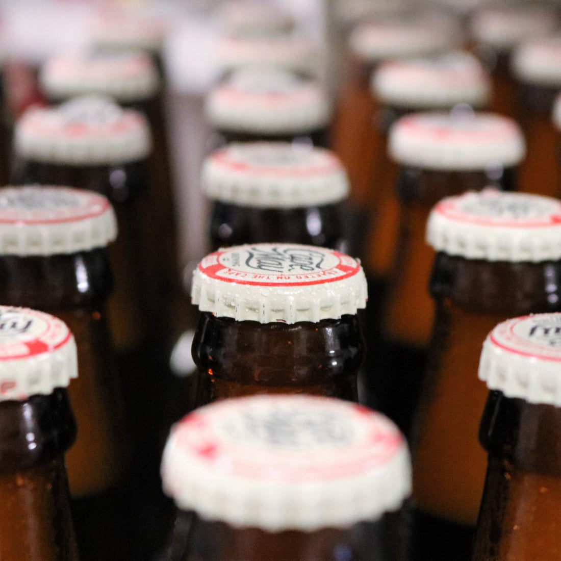Bottle Caps Cape May Brewing Company
